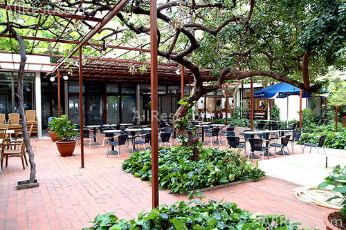 Lero Hotel 17